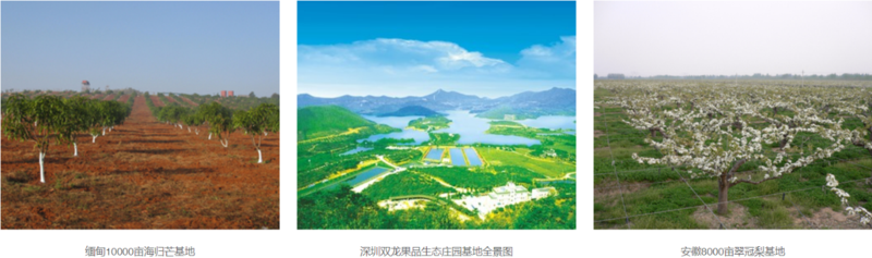 图片5.png